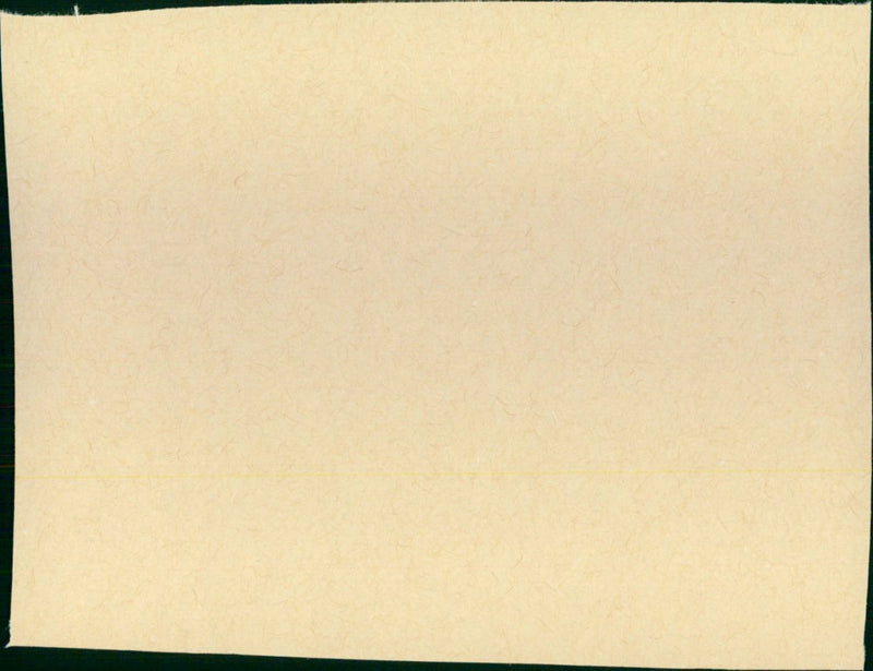 The Happy Ending - Vintage Photograph