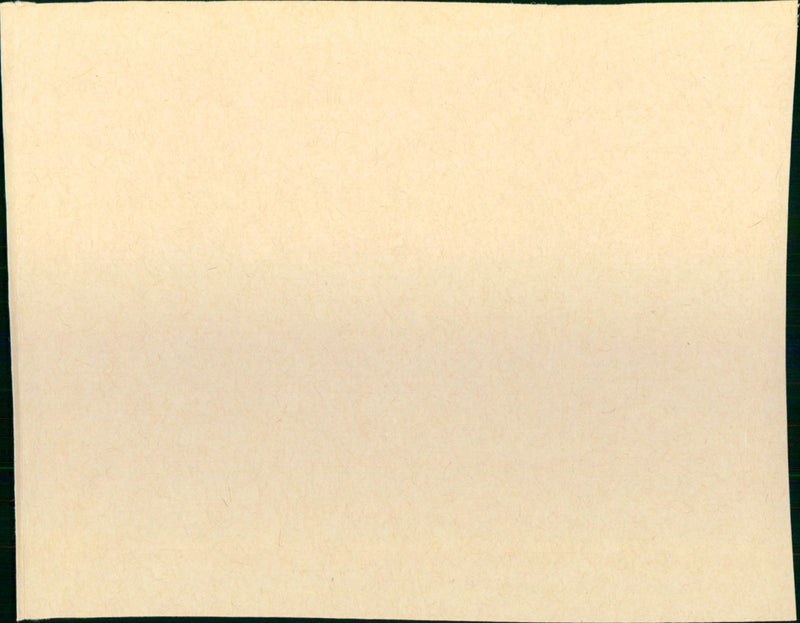 Brannigan - Vintage Photograph