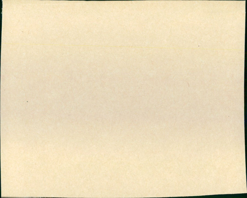 Brass Target - Vintage Photograph