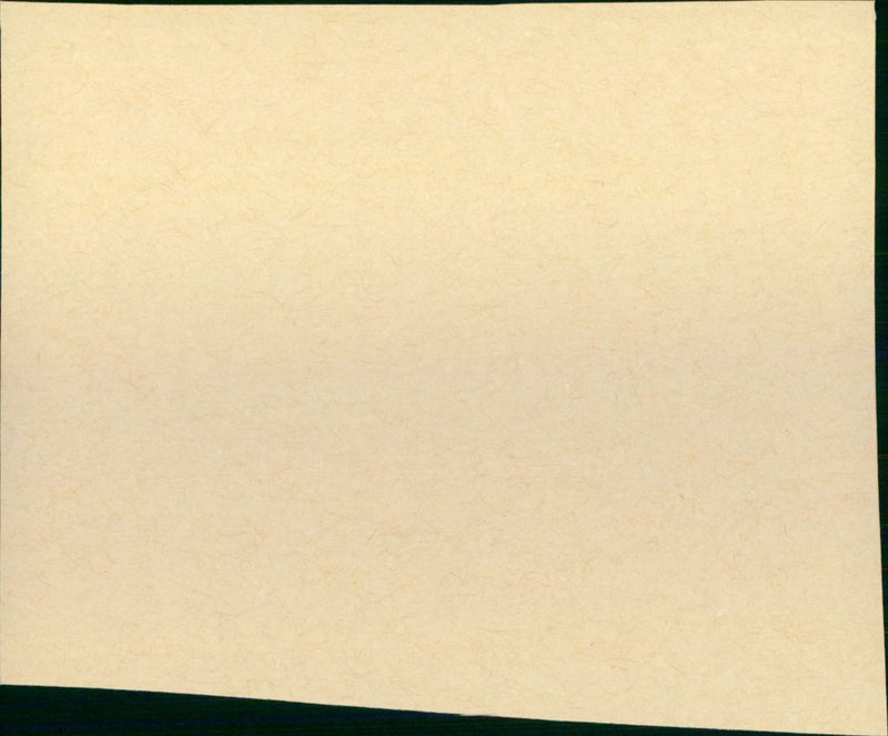 Brats - Vintage Photograph