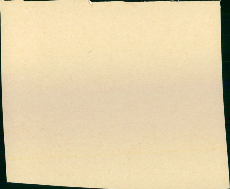 Der brave soldat Schwejk - Vintage Photograph