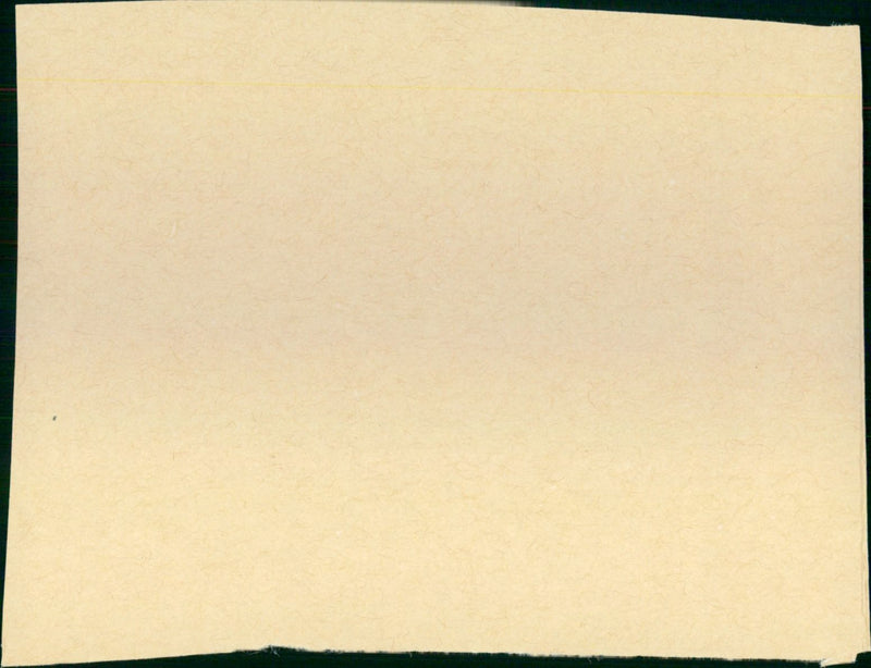 Braveheart - Vintage Photograph