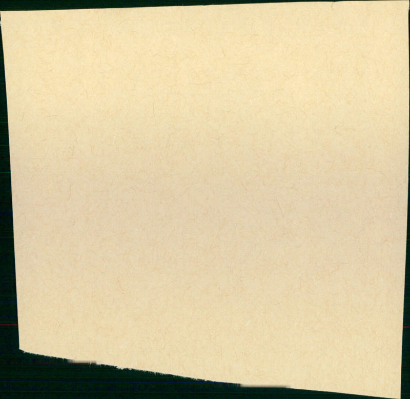 Copycat 1995 - Vintage Photograph