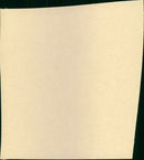 Black Panthers - Vintage Photograph