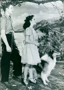 Courage of Lassie 1946 - Vintage Photograph