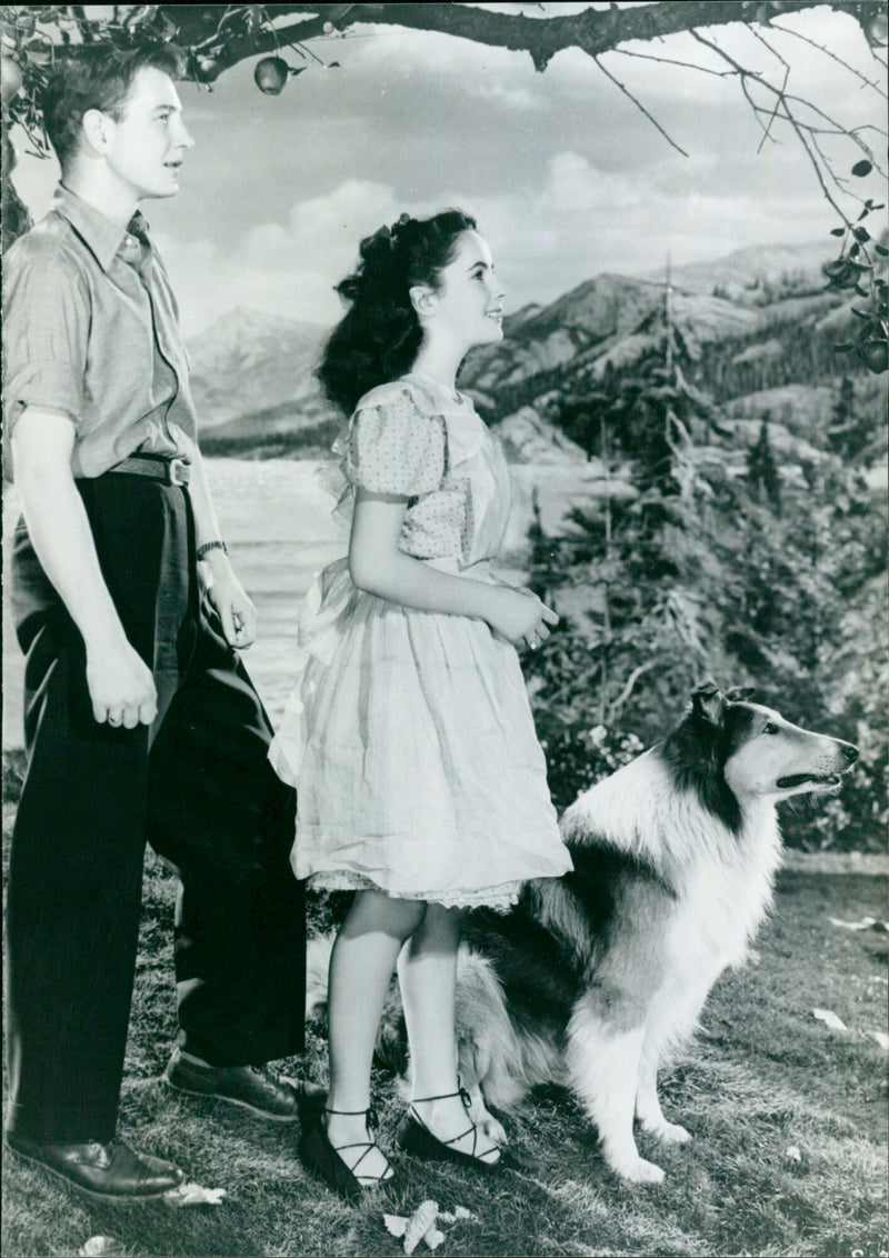 Courage of Lassie 1946 - Vintage Photograph