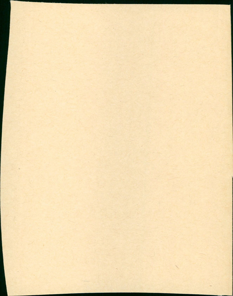 The Cat from Outer Space - Vintage Photograph