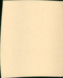 Cat on a Hot Tin Roof - Vintage Photograph