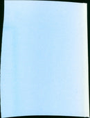 Lethal Weapon - Vintage Photograph