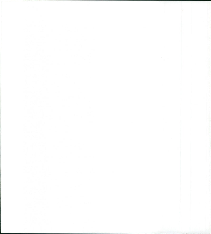 Cat Ballou - Vintage Photograph