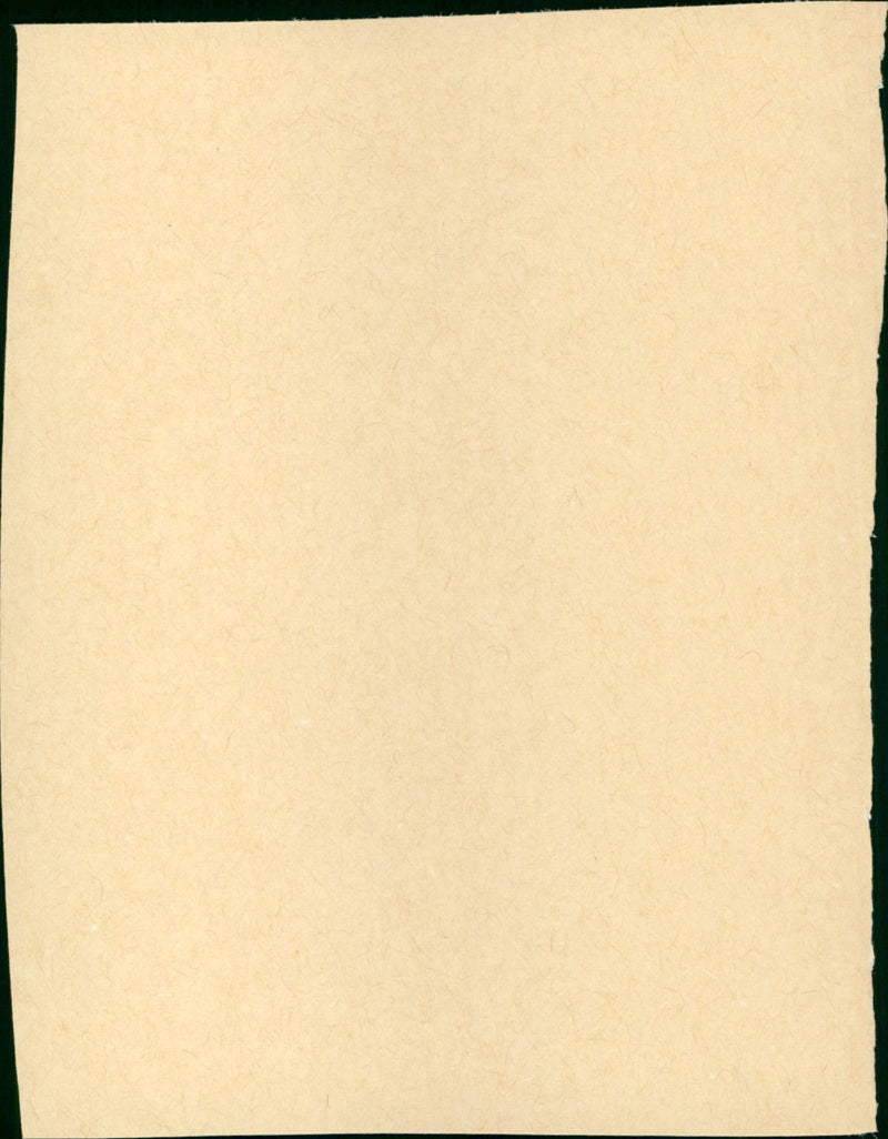 Coal Miner's Daughter - Vintage Photograph