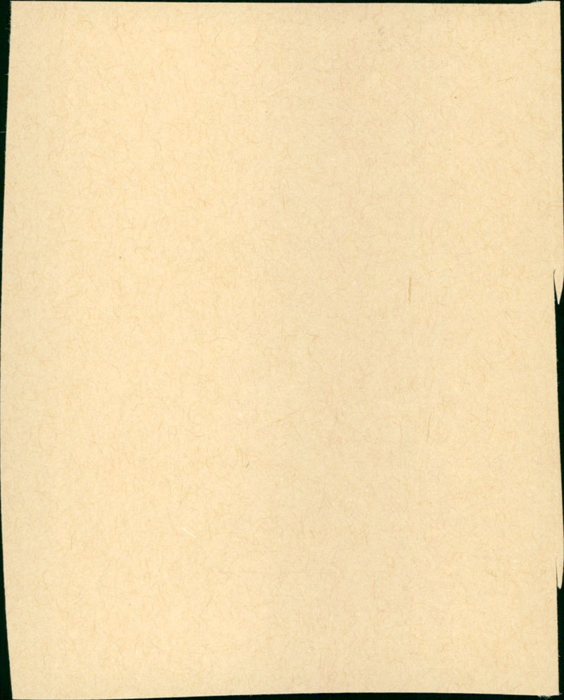 The Carpetbaggers - Vintage Photograph