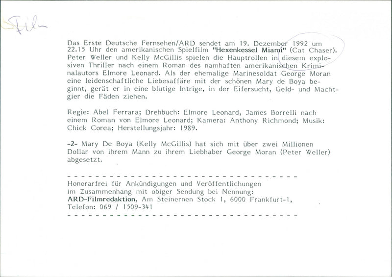 Cat Chaser - Vintage Photograph