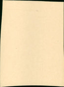 The Cobweb - Vintage Photograph