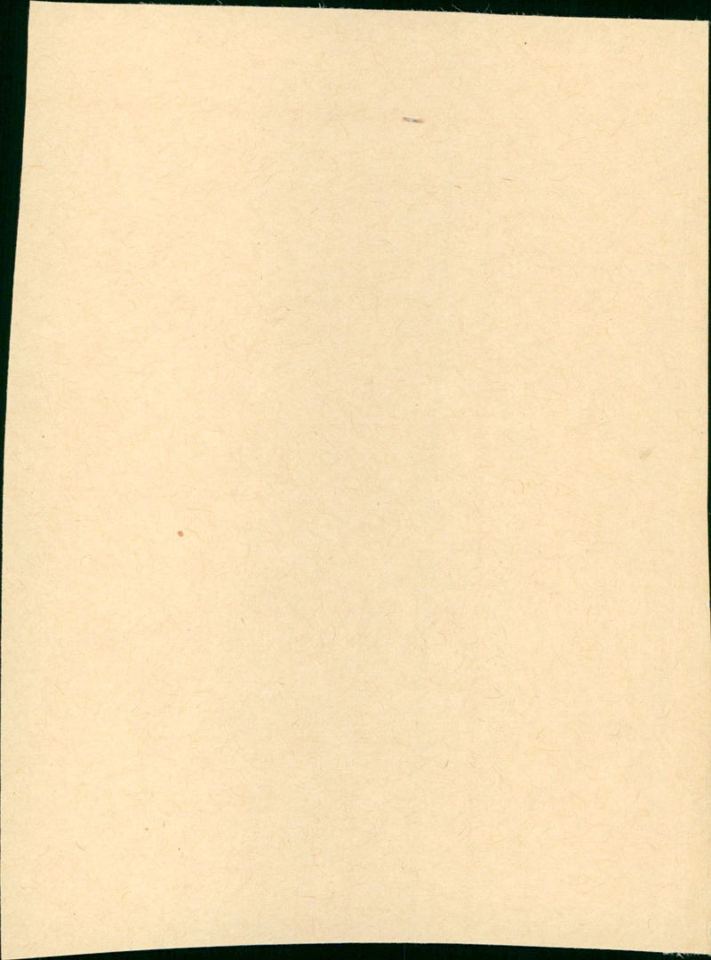 The Cobweb - Vintage Photograph