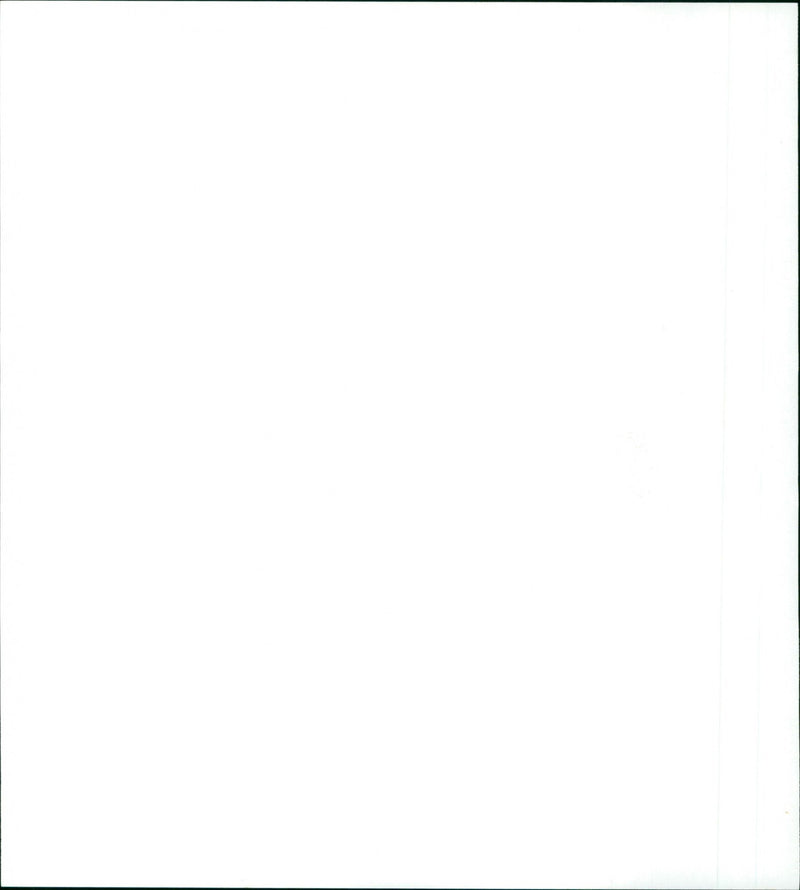 Fun - Vintage Photograph