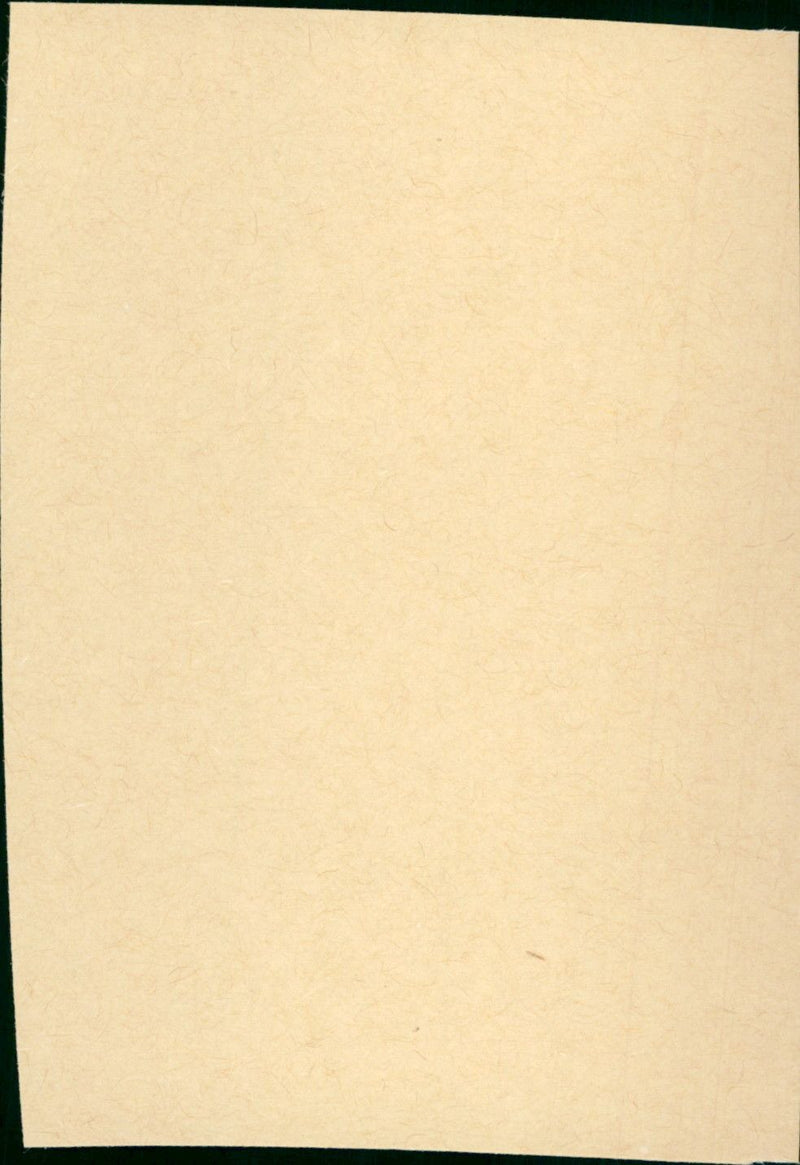 Lily, aime-moi - Vintage Photograph