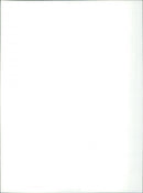 Fun in Acapulco - Vintage Photograph