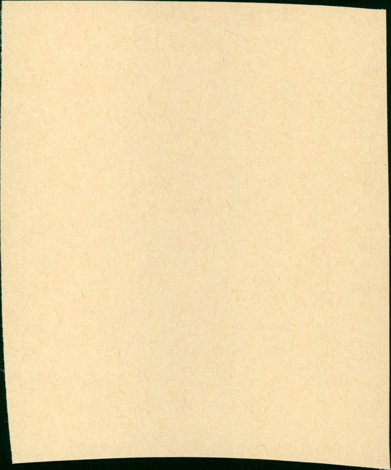 Fun - Vintage Photograph