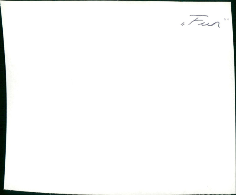 Fun - Vintage Photograph