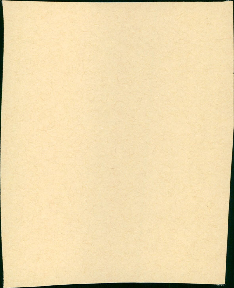 Gold Diggers - Vintage Photograph