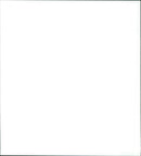 Golden Eye - Vintage Photograph