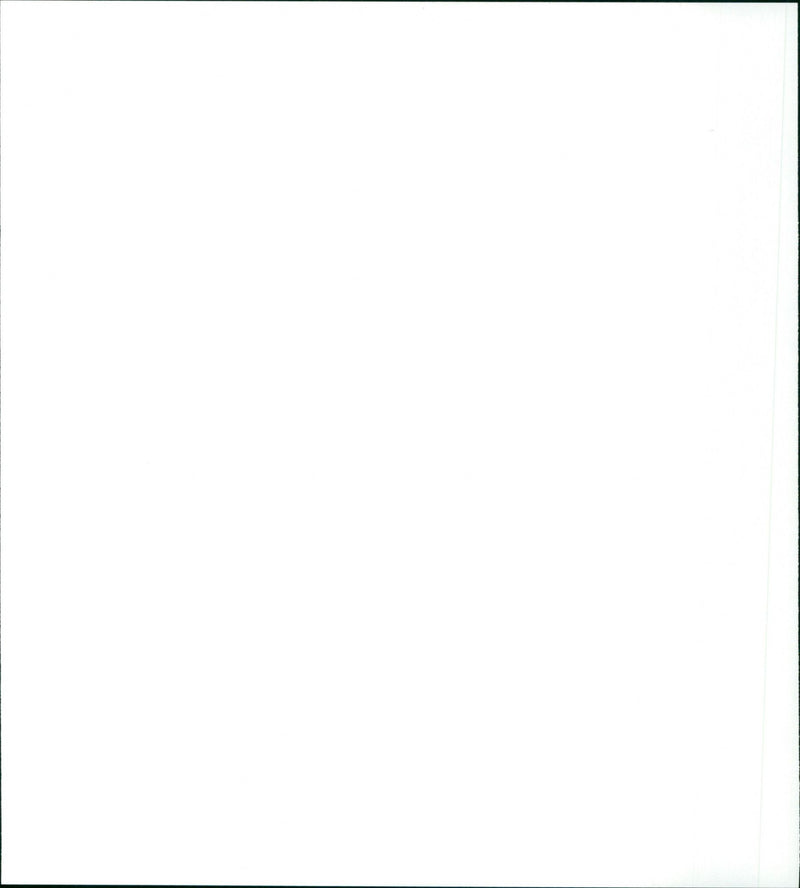 Golden Eye - Vintage Photograph