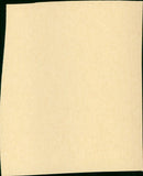 The Little Foxes - Vintage Photograph