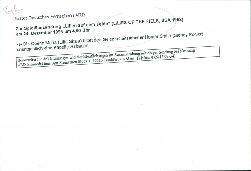 Lilies of the Field - Vintage Photograph