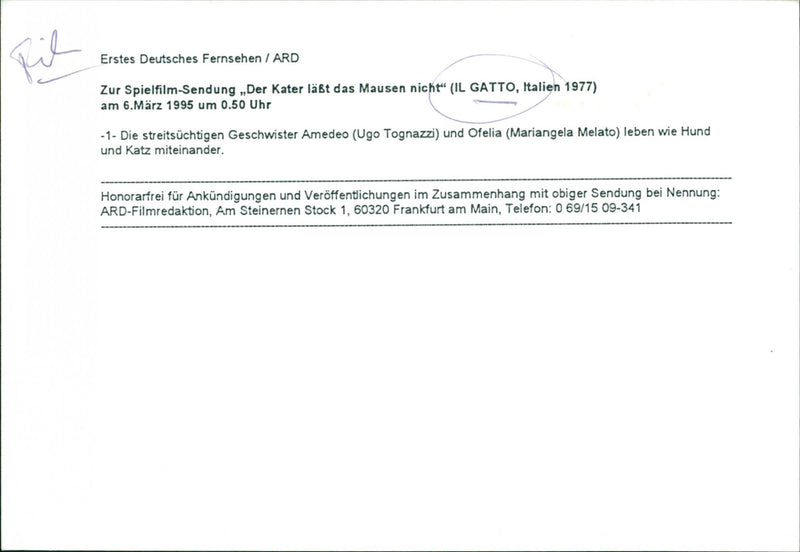 Il gatto - Vintage Photograph