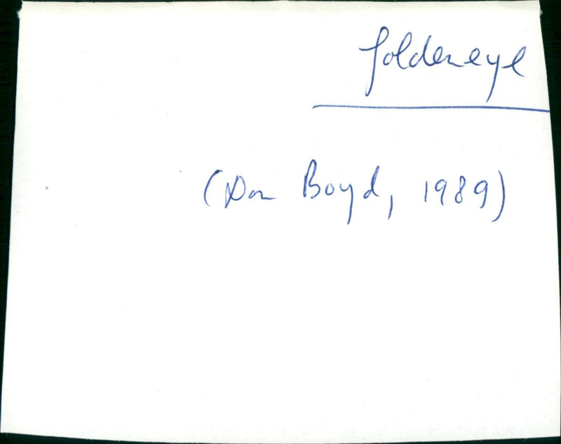 GoldenEye - Vintage Photograph