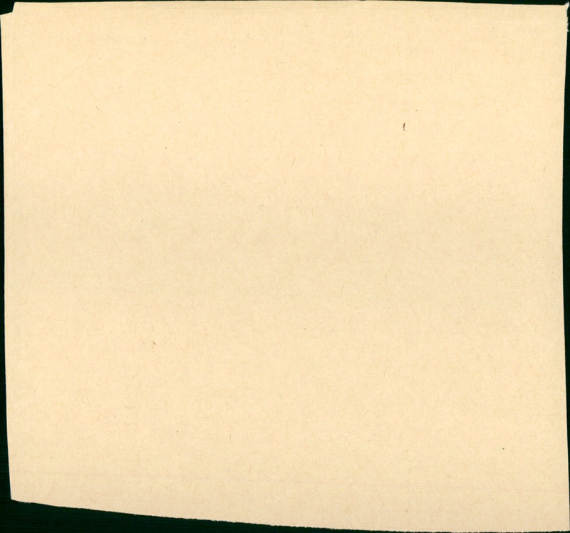Garbriela 1983 - Vintage Photograph