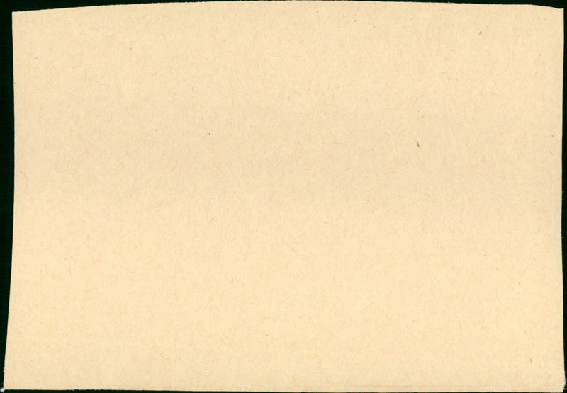 The Gang That Couldn't Shoot Straight 1971 - Vintage Photograph