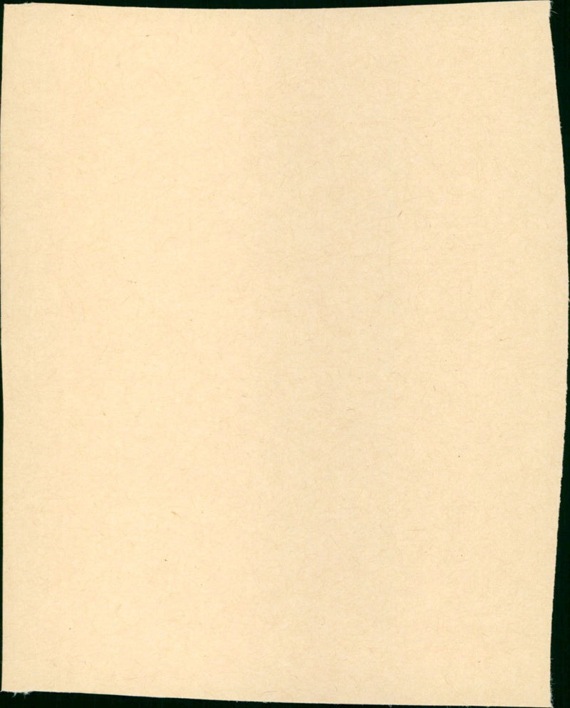 Live a Little, Love a Little - Vintage Photograph