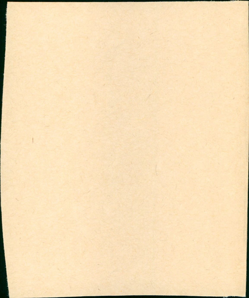 A Gathering of Old Men - Vintage Photograph