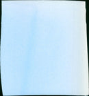 ‎Little White Lies - Vintage Photograph