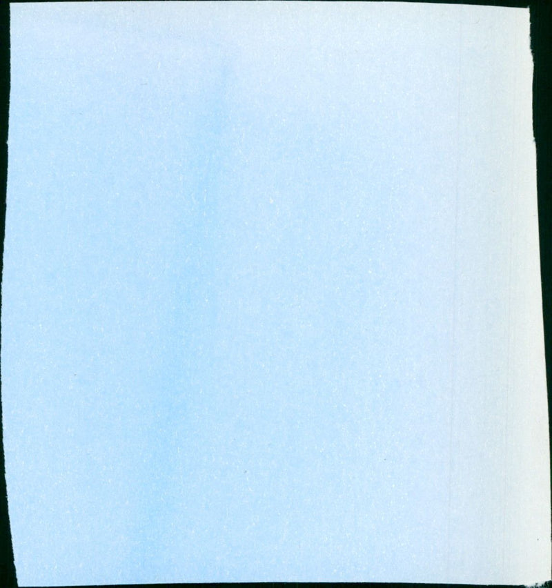 ‎Little White Lies - Vintage Photograph