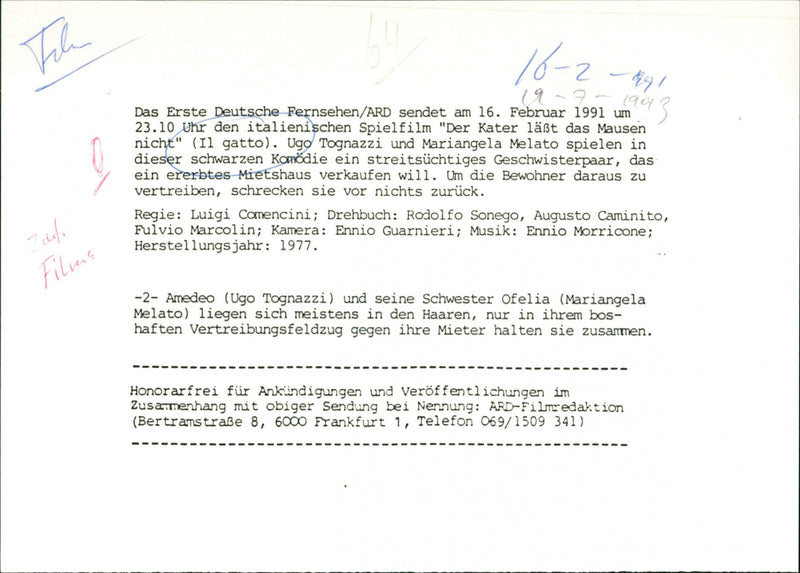 Il gatto - Vintage Photograph