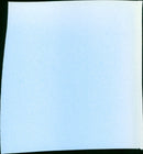 Little Buddha - Vintage Photograph