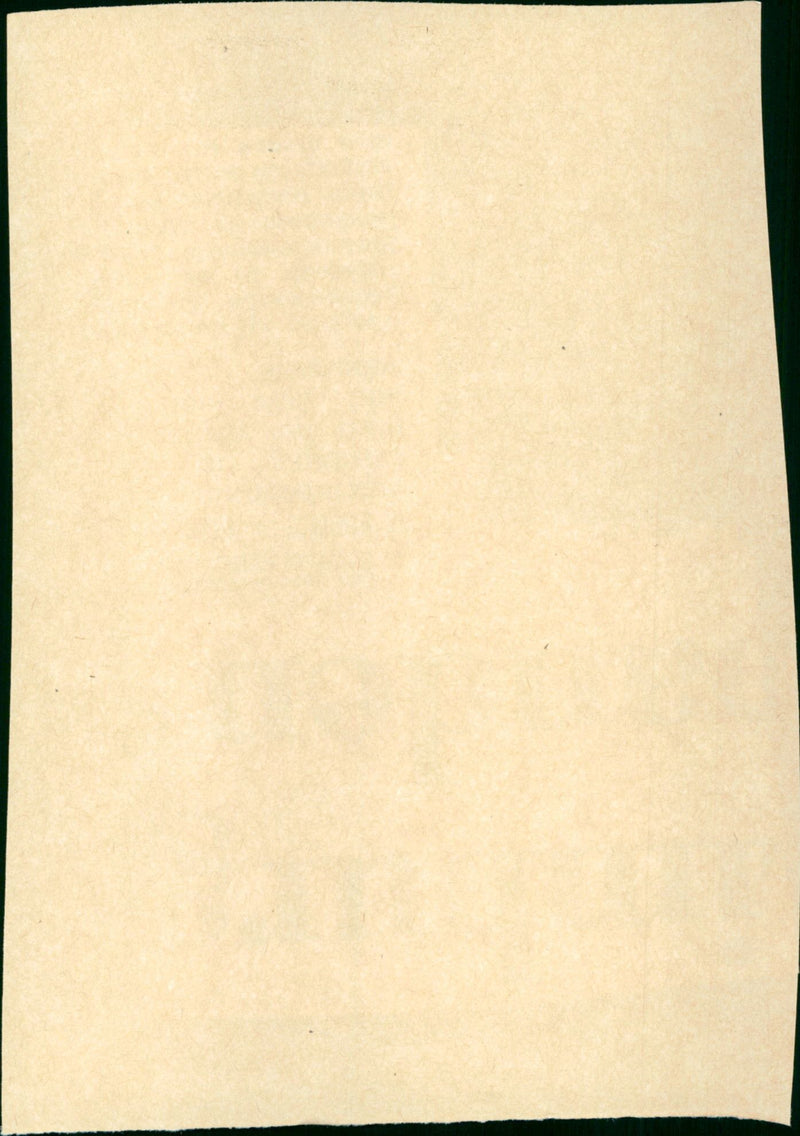 Gardens of Stone - Vintage Photograph