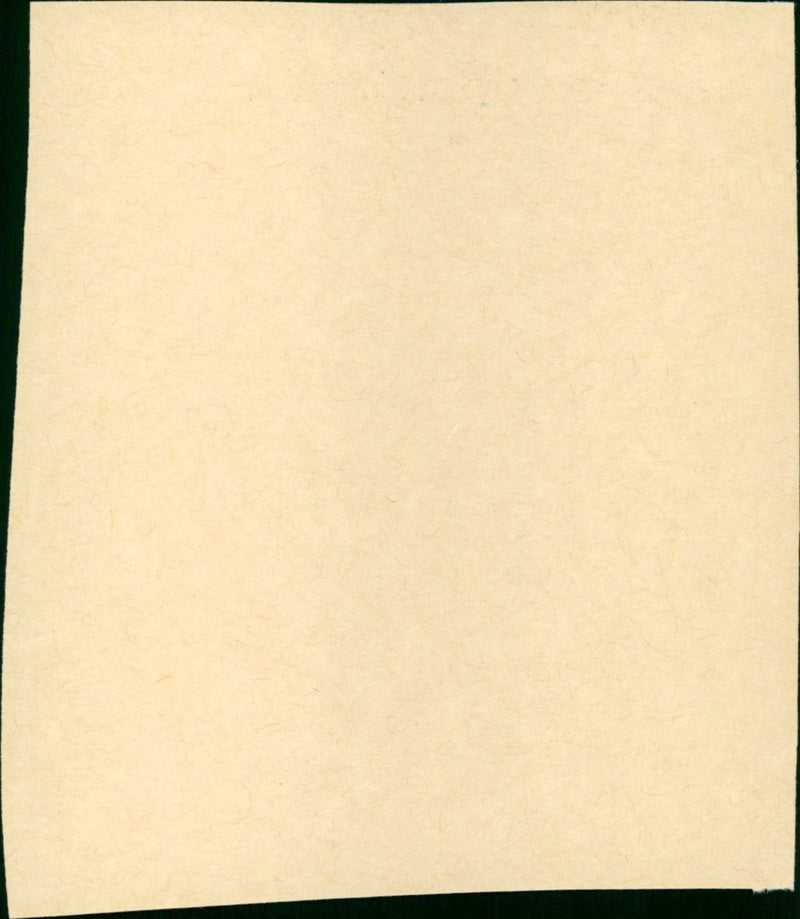 GoldenEye - Vintage Photograph