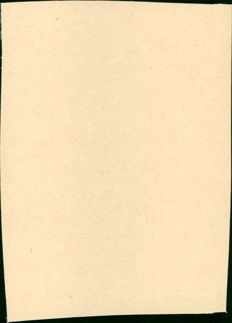 Little Treasure - Vintage Photograph