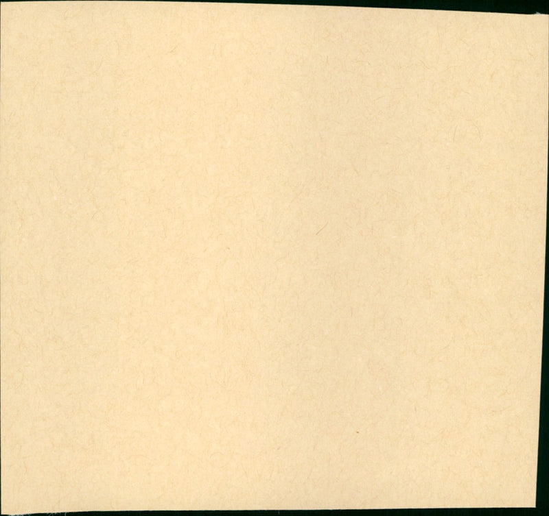 To Kill a Mockingbird - Vintage Photograph