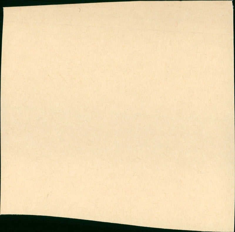 The Competition - Vintage Photograph