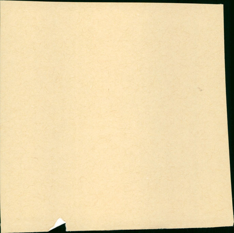 To Catch a Thief - Vintage Photograph