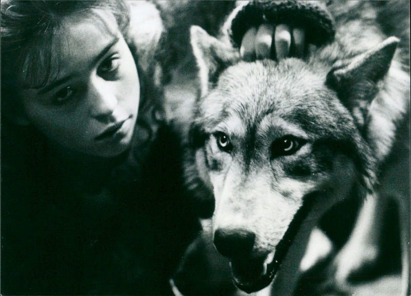 Sarah Patterson - The Company of Wolves - Vintage Photograph