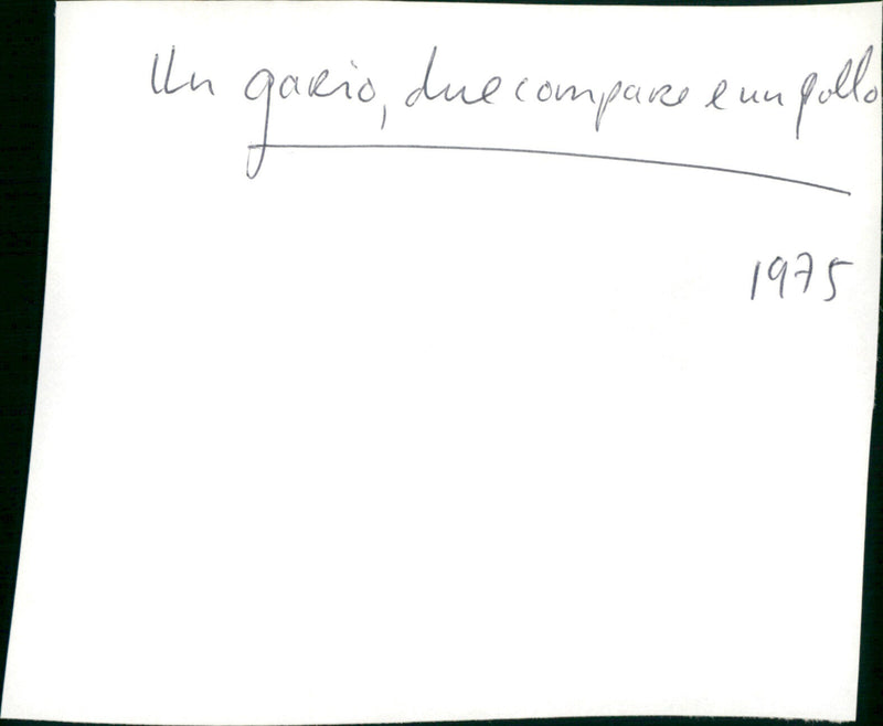Un genio, due compari e un pollo/A Genius, Two Partners and a Dupe - Vintage Photograph