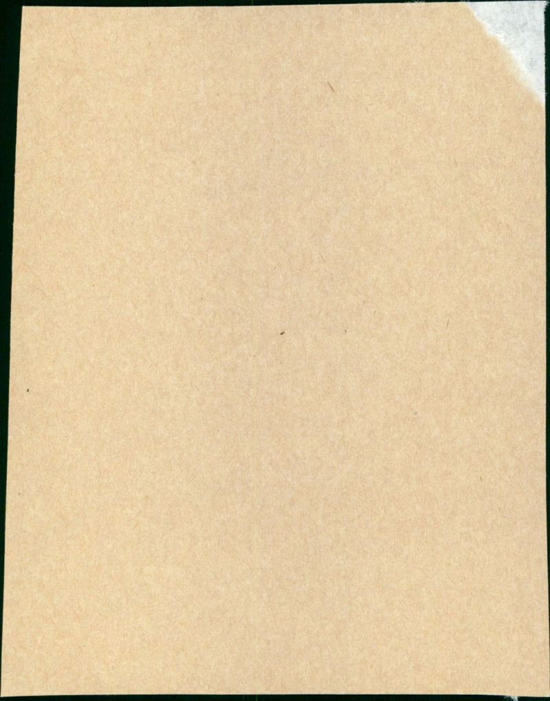 To Fly - Vintage Photograph