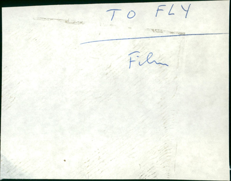 To Fly - Vintage Photograph