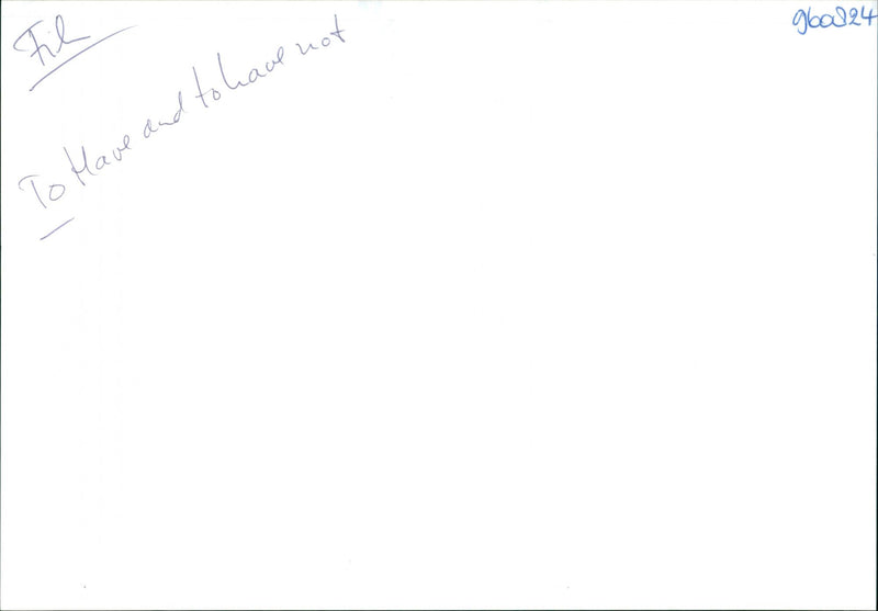 To Have and to Have Not - Vintage Photograph